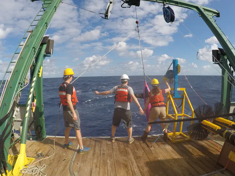 2017-11-02 14.44.16.jpeg