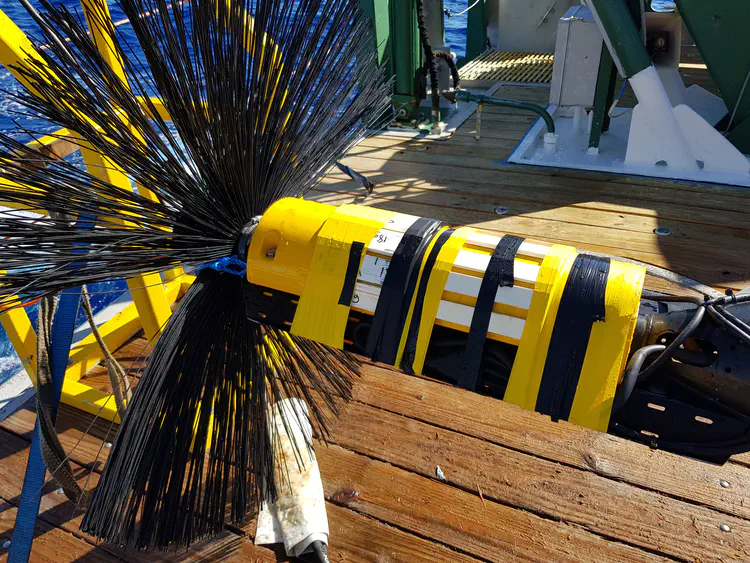 2017-11-08 09.49.33.jpeg