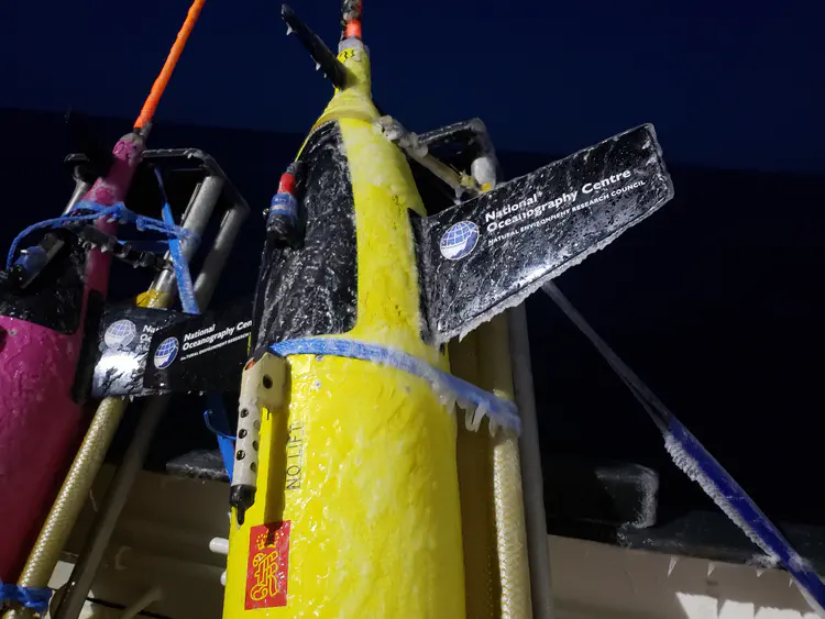 2019-12-05 07.48.28.jpeg