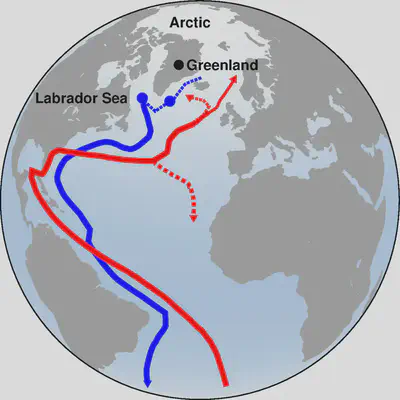 The meridional overturning circulation: red lines are northward flowing warm waters; blue lines are deep water formed through open ocean convection.