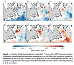 Observed mechanisms activating the recent subpolar North Atlantic Warming since 2016