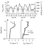 Physical controls and mesoscale variability in the Labrador Sea spring phytoplankton bloom observed by Seaglider